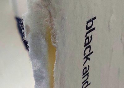 Karin Nowak: Weglesen - Detail