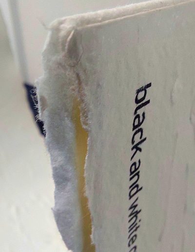 Karin Nowak: Weglesen - Detail